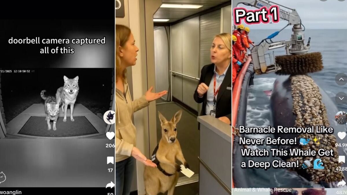 hero-image-fill_-size_1200x675-v1755122133