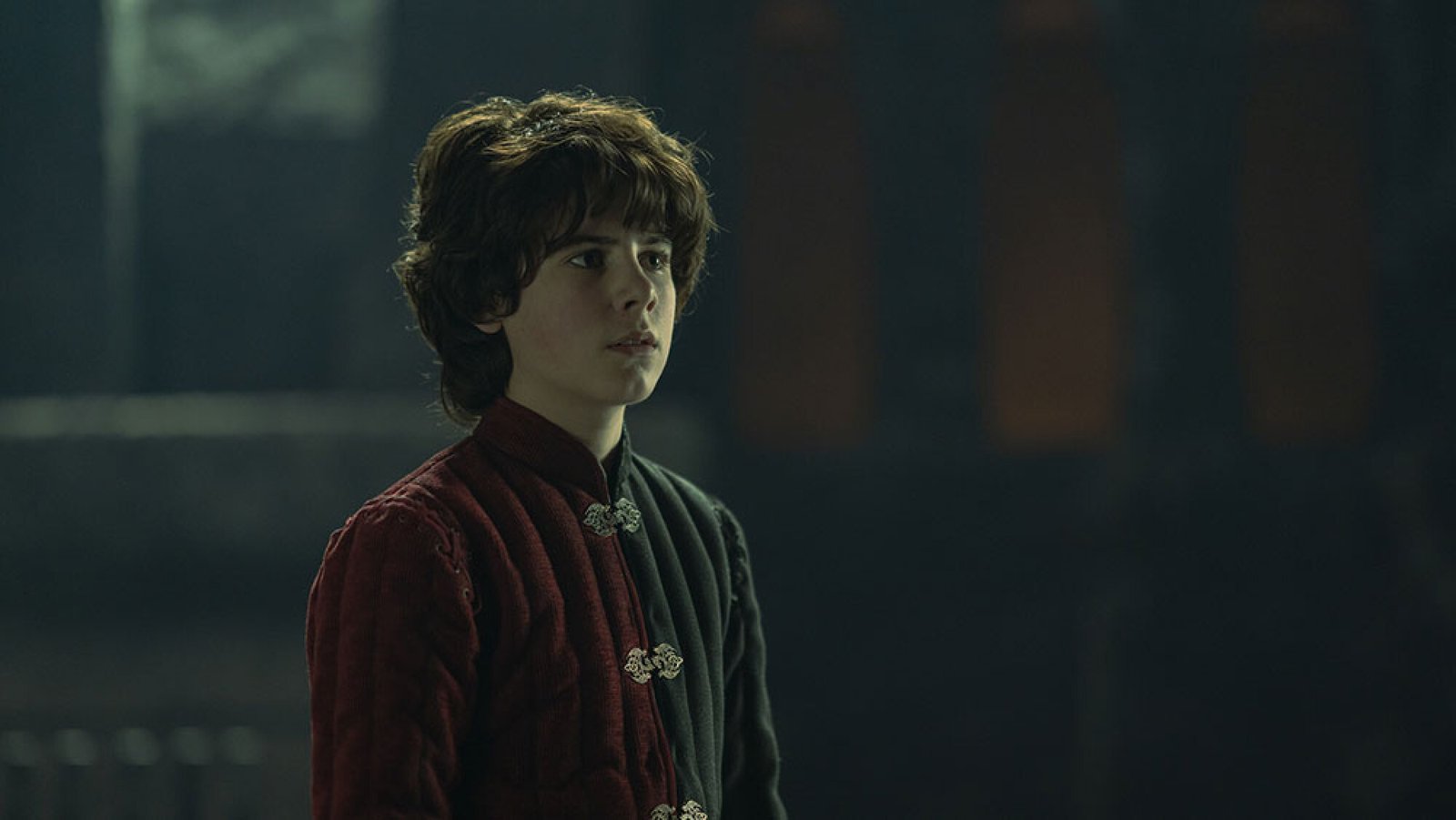 A young boy with dark hair stands in a dark room.