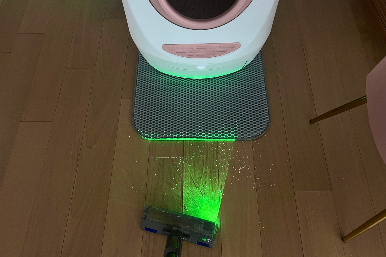 Dyson V12 Detect Slim vacuum and laser cleaning hardwood floor near litter box